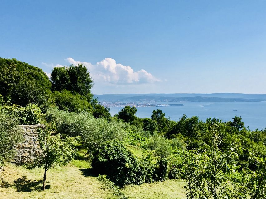 Trieste: 2.5-Hour Prosecco Origins Tour and Tastings - Should you book the Prosecco Origins tour?