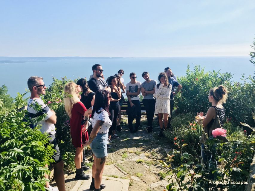 Trieste: 2.5-Hour Prosecco Origins Tour and Tastings - Katrin’s vineyard brings wine and place together