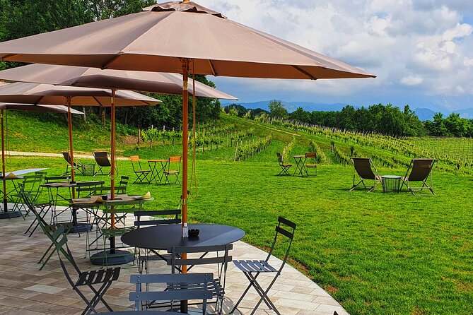 Unconventional Prosecco Tasting with Stunning View on Vineyards - Vineyard views are part of the value