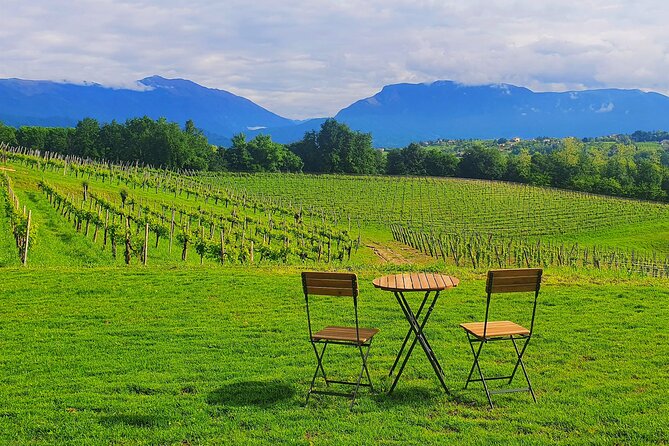 Unconventional Prosecco Tasting with Stunning View on Vineyards - Booking, timing, and a few sensible checks