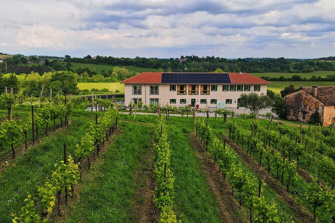 Unconventional Prosecco Tasting with Stunning View on Vineyards - FAQ