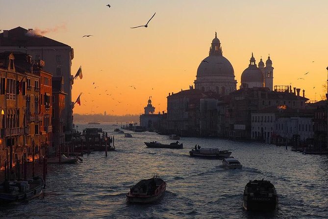 Venice Marco Polo Airport Private Arrival Transfer via Motorboat - From baggage claim to the airport pier