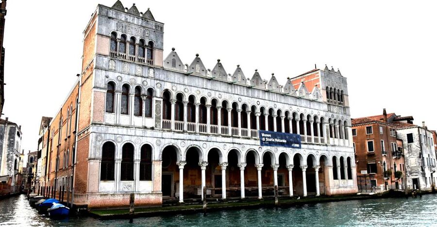 Venice: Natural History Museum Entry Ticket - Is the $11 Ticket Worth It?