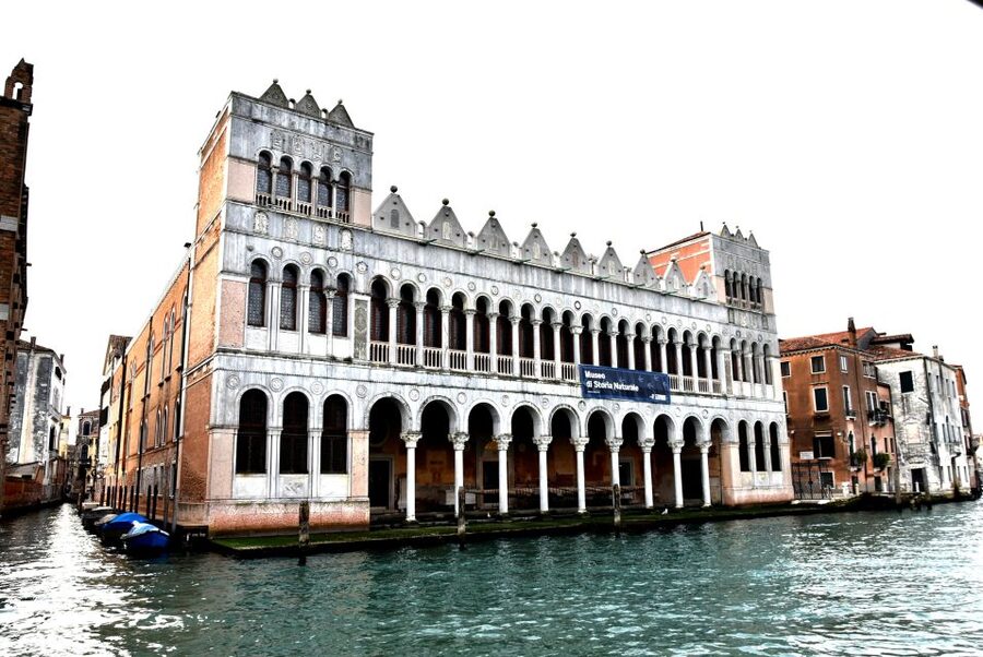 Venice: Natural History Museum Entry Ticket - The Dinosaurs and Prehistoric Crocodile Are the Main Event