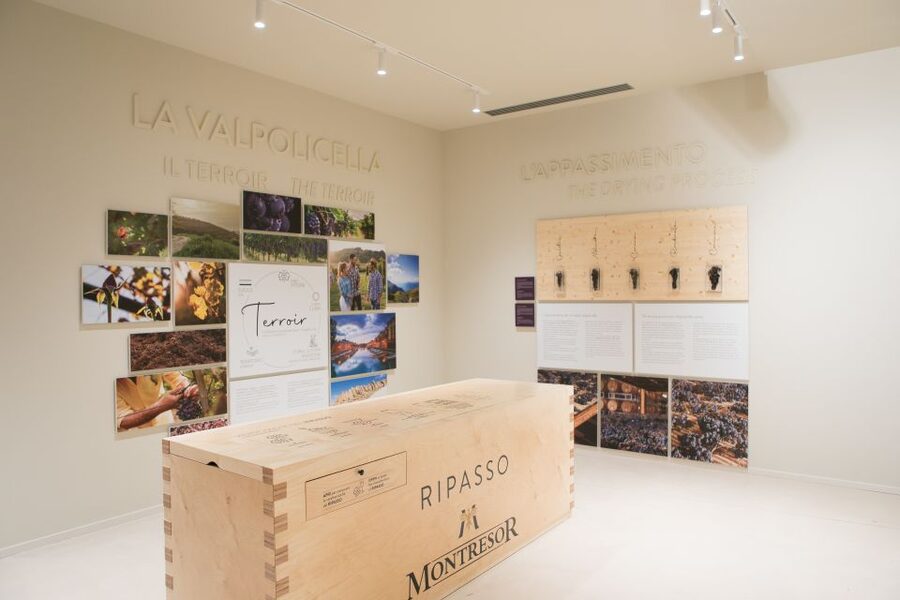 Verona: Montresor Winery Visit with Wine Tasting and Snacks - Choose reds or whites before you book