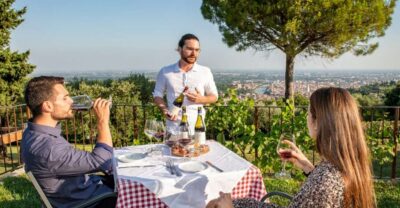 Wine Tasting with Snacks and Panoramic Views
