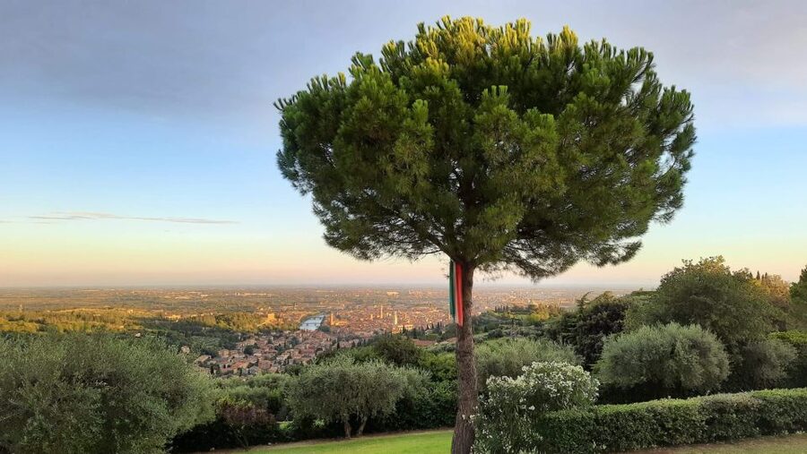 Verona: Wine Tasting with Snacks and Panoramic Views - Who will enjoy this visit most