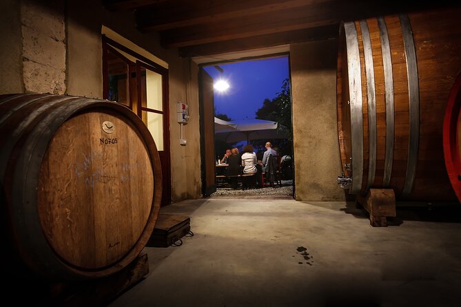 Wine Tasting with Panoramic View of Verona - A vineyard visit above the city