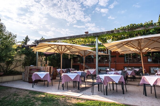 Wine Tasting with Panoramic View of Verona - Who will enjoy this tasting?
